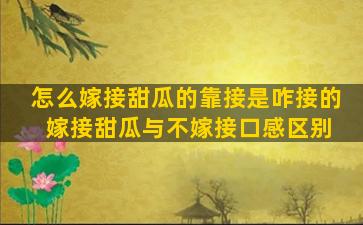 怎么嫁接甜瓜的靠接是咋接的 嫁接甜瓜与不嫁接口感区别